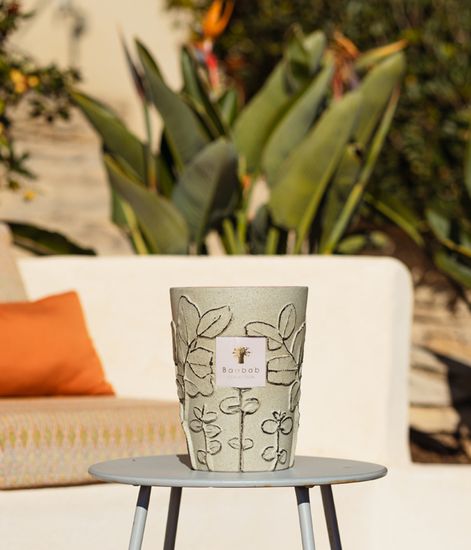 Maquis, свеча MAX 24 Folia collection, Baobab Collection