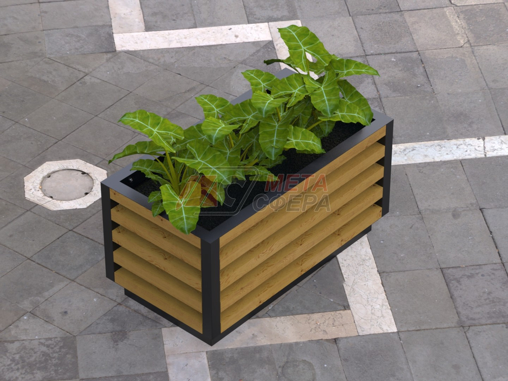 Вазон Кортен L