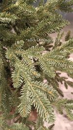 Искусственная ель на ножке «Датская» (хвоя Литая) 150 см / 1.5 м