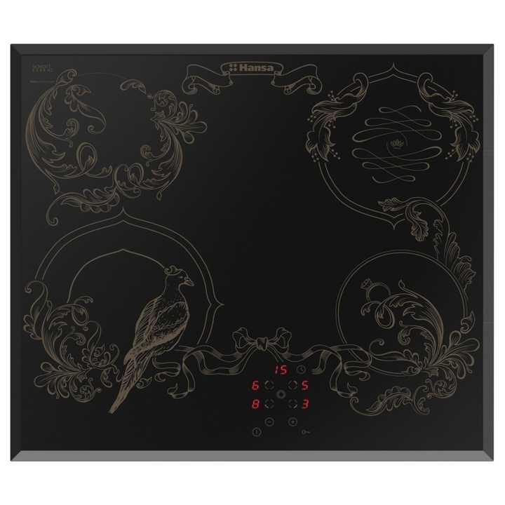 Электрическая панель Hansa BHC66500