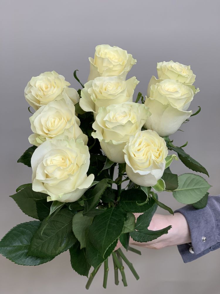 Букет 9 белых роз Эквадор 60см в ленте