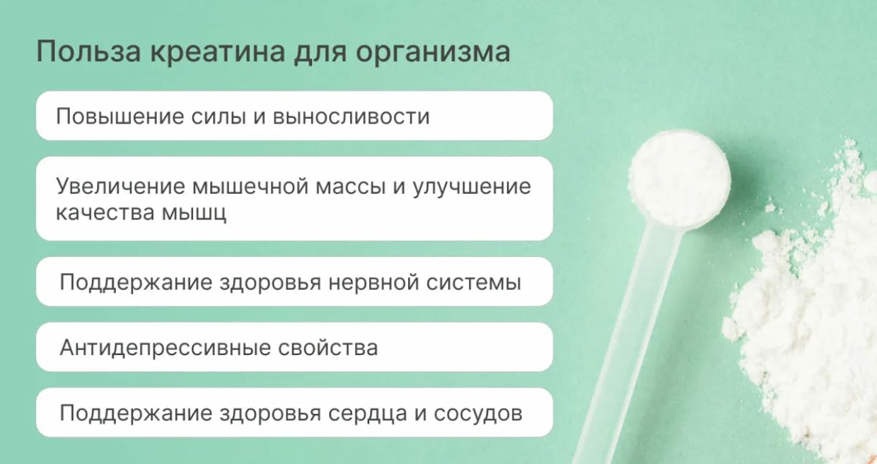 Нужна ли загрузка креатином: плюсы, минусы и современные исследования