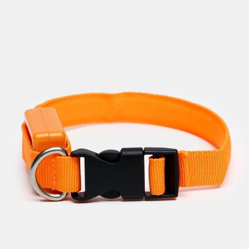 Ошейник светящийся узкий для небольших собак, 3 режима, 26см, Оранжевый