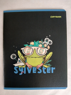 Тетради 48 листа А5+. "Сильвестр", общая, клетка. Формат А5+ (163*203 мм). Арт.120008. С полями. Комплект 5 шт.