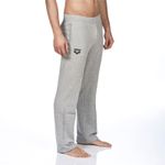 Спортивные брюки мужские Arena Team Line Pant (серые)