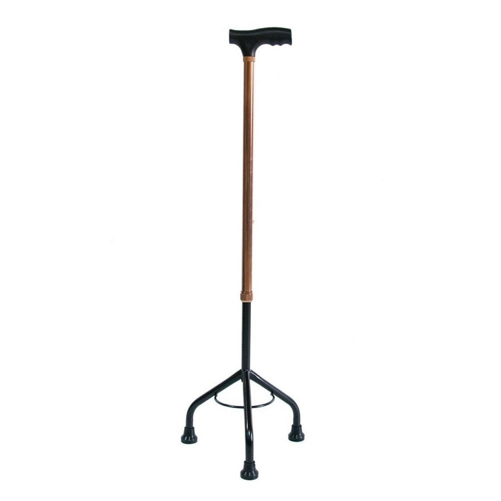 trost-s-tremya-nozhkami-tr3