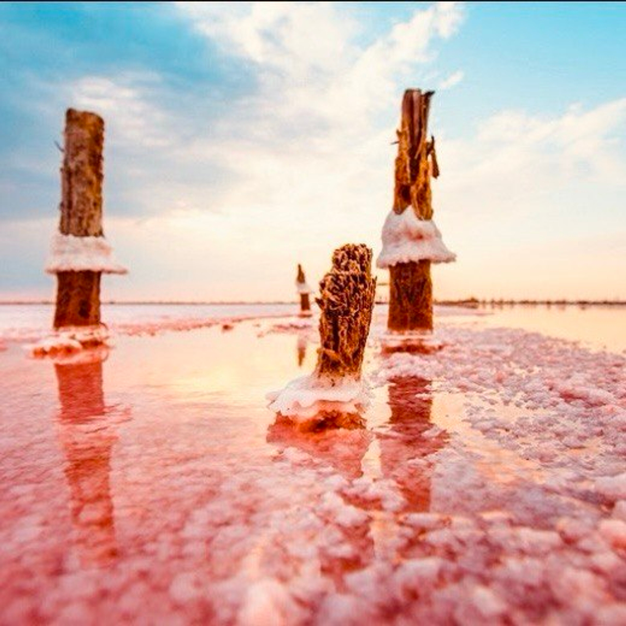 Крымский "Эликсир молодости"