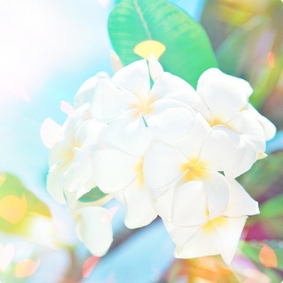 Практический Интенсив 
"Эмоциональная Алхимия". Часть 13