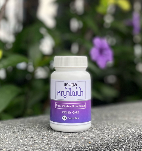Капсулы Традесканция приречная для заботы о почках Tradescantea Fluminensis Kidney Care Panya Brand