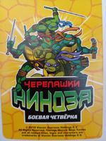 Коллекционная игровая карточка ЧЕРЕПАШКИ-НИНДЗЯ воины тени "Гейша помощница хана" 293 (33/260) обычная