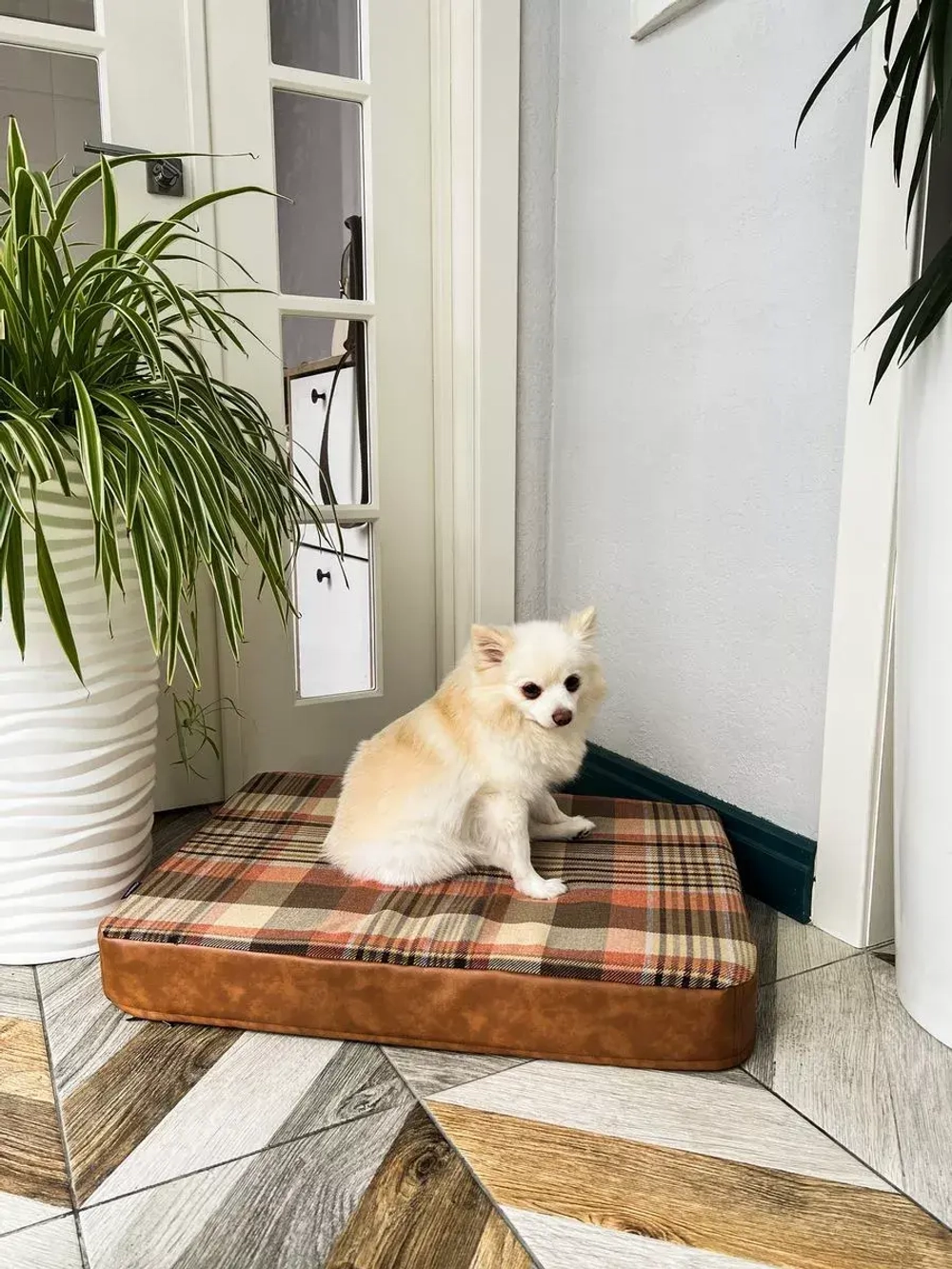 Лежак для собак ортопедический 70*50см