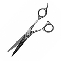 Ножницы парикмахерские для точных работ, пойнтинга, слайсинга 5.5" Artero Evo Titanium T44855