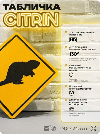 Табличка прикольная "Осторожно, бобр" на дверь и стену, информационная и предупреждающая, декоративный знак, 24,5х24,5 см, пластиковая, Айдентика Технолоджи