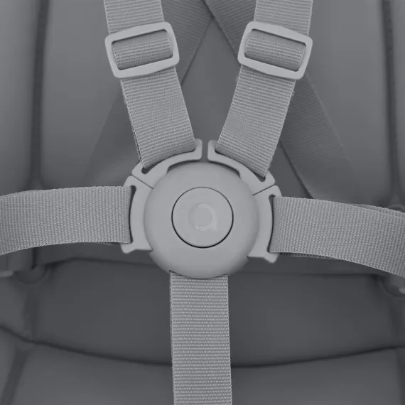 Стульчик для кормления ANEX OZY shade