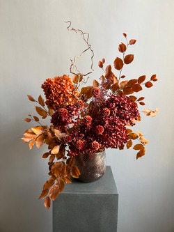 Композиция в кашпо Леукадендрон