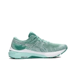 Женские кроссовки ASICS GT-2000 10 'Sage White' 1012B045-300