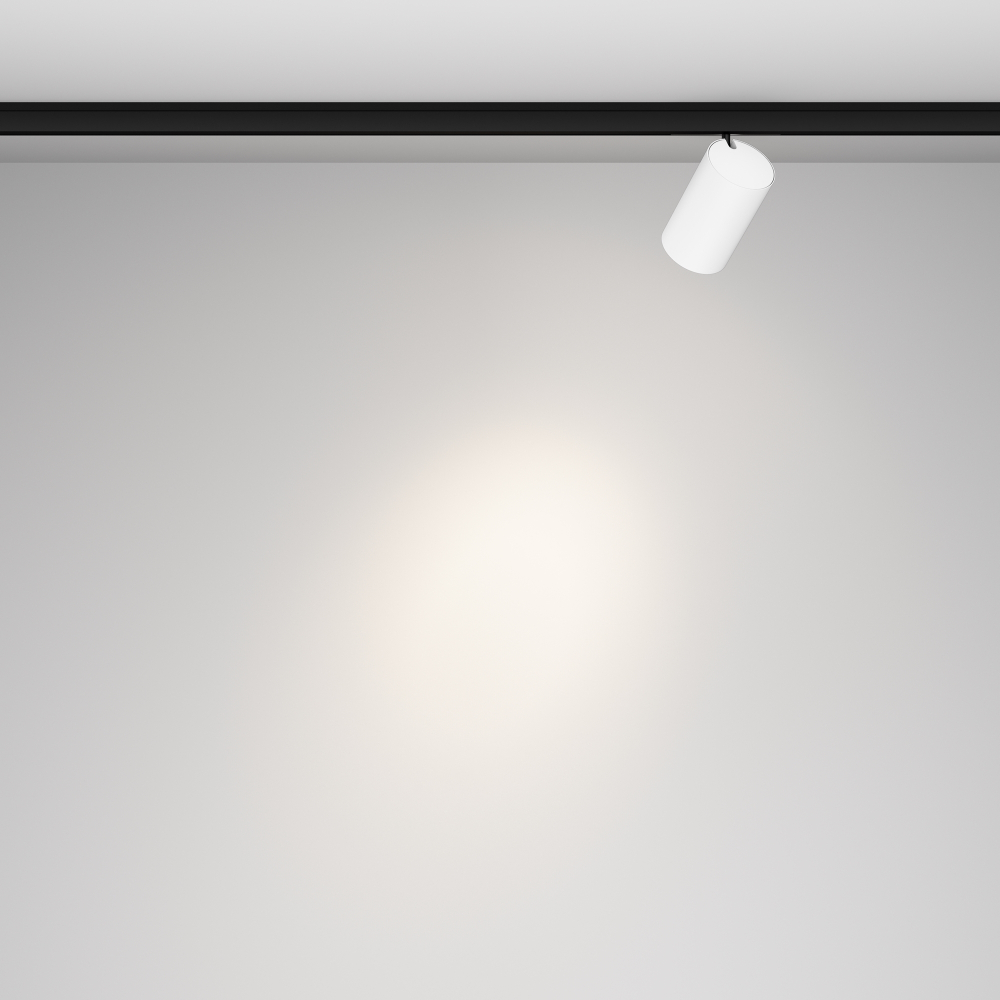 Магнитный трековый светильник Maytoni Focus Led TR187-1-5W4K-M-BW