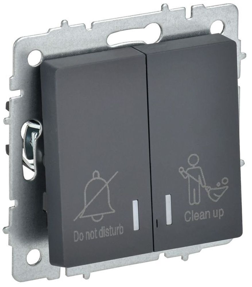 Выключатель 2-кл. BRITE 10А ВС10-2-9-БрГ для отелей с индик. механизм графит IEK BR-V20-2-10-K53