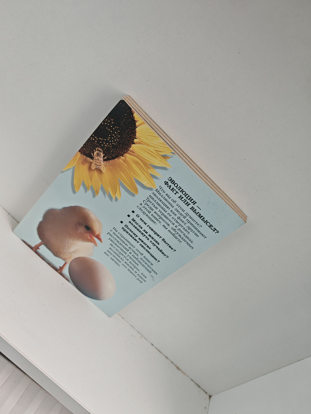 Жизнь - как она возникла