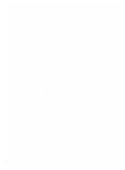 Описание Тверского музея. Археологический отдел | А.К. Жизневский