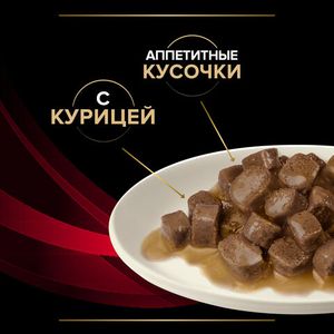 Пауч Pro Plan Veterinary Diets DM для кошек, при диабете с курицей