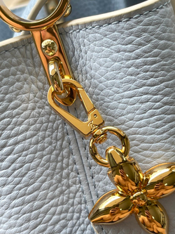 Louis Vuitton Capucines Mini