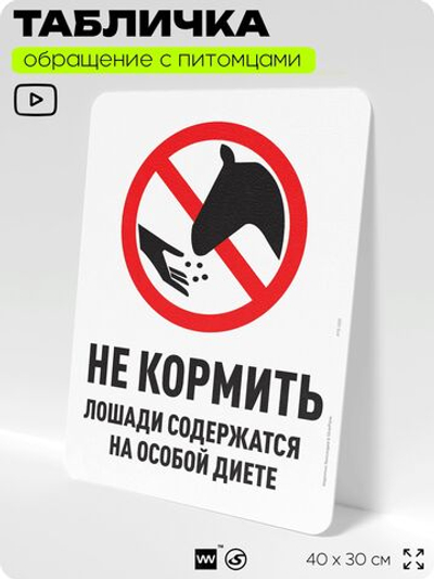 Табличка "Не кормить, лошади содержатся на особой диете" на дверь и забор, для конюшни, фермы, деревни, 40х30 см, Silver Plane x Айдентика Технолоджи