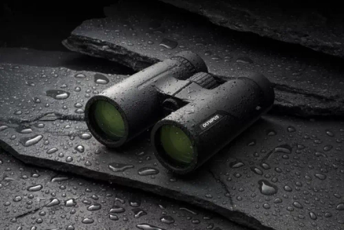 Бинокль Olympus 8x42 PRO