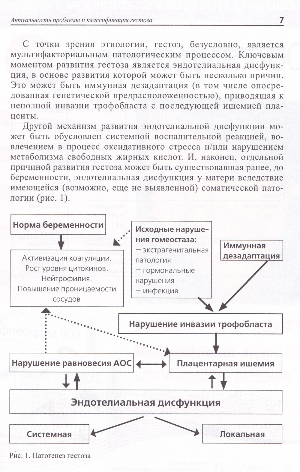 Медикаментозная терапия и профилактика гестоза: метод. реком.