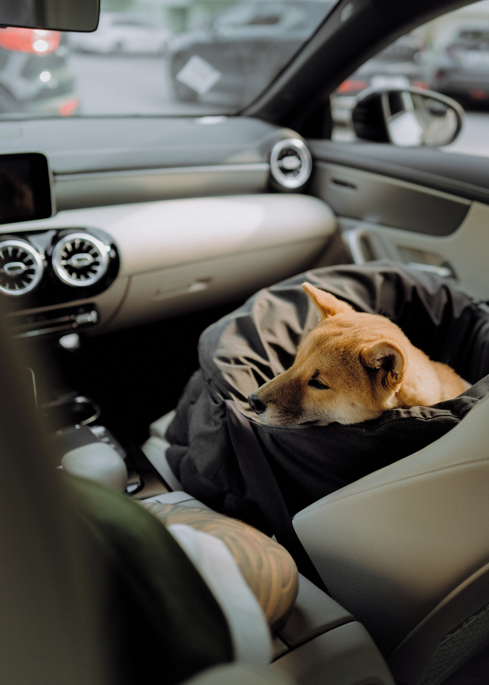 Чехол для автокресла облегчённый, черный