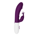 Фиолетовый вибратор-кролик 19,8см со стимулятором клитора Pretty Love Rasmussen Bunny Vibrator BW-500072-A2