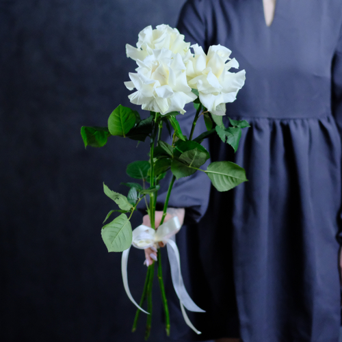 Купить Розы французские белые от 9шт