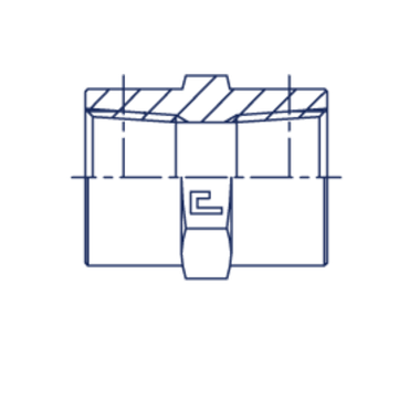 Соединение PS BSPT 1/8" BSPT 1/8" CAST