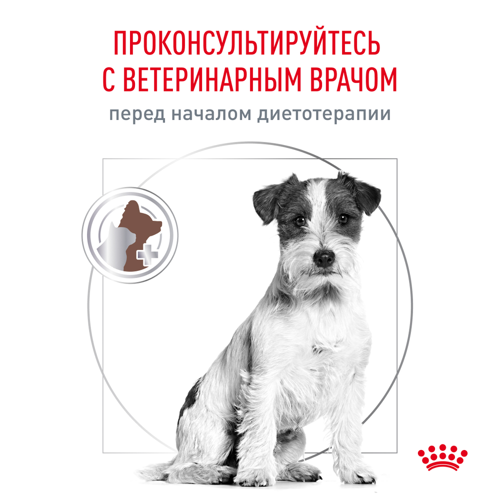Royal Canin Gastrointestinal Low Fat Small Dogs Гастроинтестинал Лоу Фэт смол дог Корм сухой для взрослых собак мелких пород при нарушениях ЖКТ 1 кг