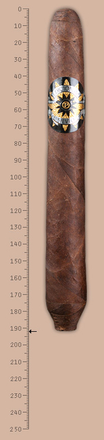 Perdomo Edicion de Silvio Salomon Maduro