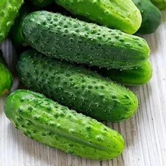 Огурцы колючие короткоплодные / 500 гр