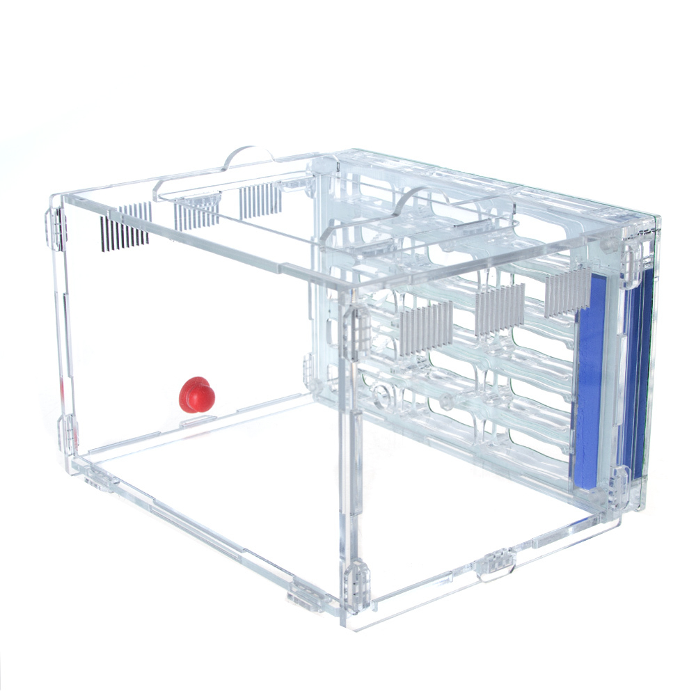 Муравьиная ферма "СТАЛИНКА" 3.0