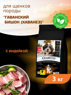 Корм сухой для щенков породы Гаванский бишон (Хаванез), с индейкой, 3 кг, QUATTRO