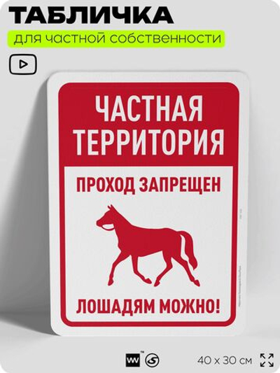 Табличка для частной территории "Частная территория, проход запрещен", на дом, для участка, организаций, предупреждающая, 40х30 см, Silver Plane x Айдентика Технолоджи