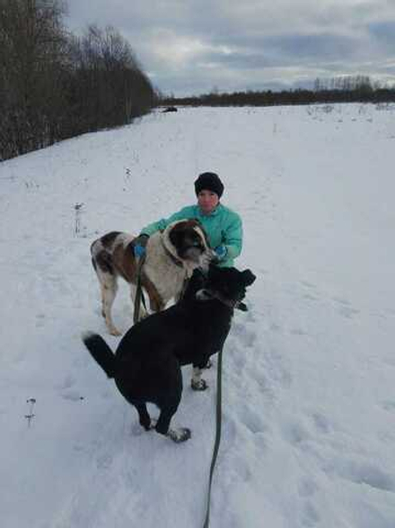 Книга С. Баскиной