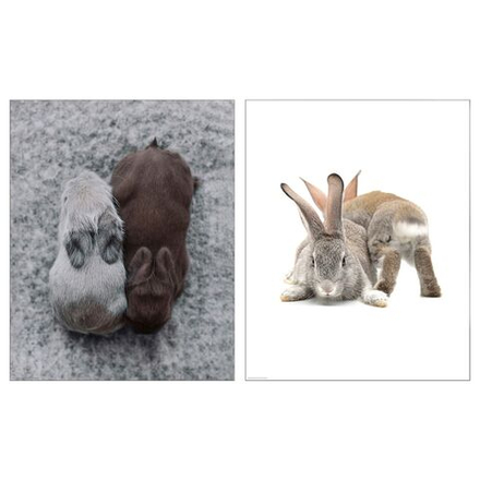 IKEA BILD  (ИКЕА БИЛД)  -  Плакат, Дружные друзья, 40x50 см