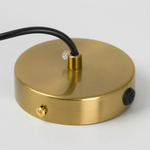 Подвесной светильник Lussole LSP-8842