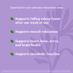 Natrol, Sleep & Restore, успокаивающая смесь для напитков, без мелатонина, вишня, 10 пакетиков по 2,6 г (0,09 унции)