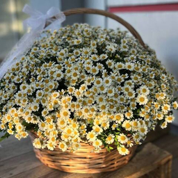 Мега букеты