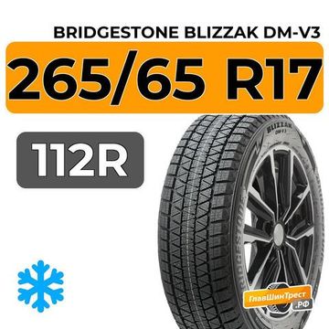 Bridgestone Blizzak DM-V3 265/65 R17 112R
