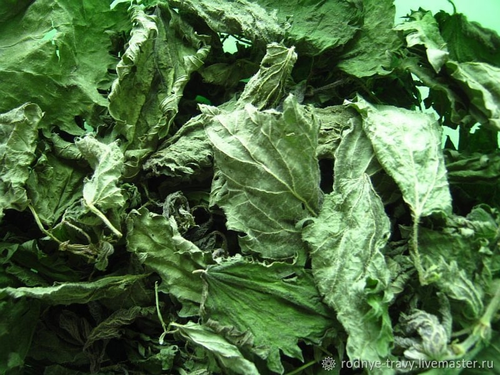 Крапива сушенная листья 60 гр