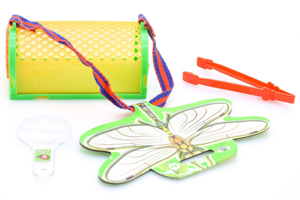 Набор юного натуралиста. Малая ёмкость для насекомых, пинцет и лупа. В дисплей-бок H-2C/D