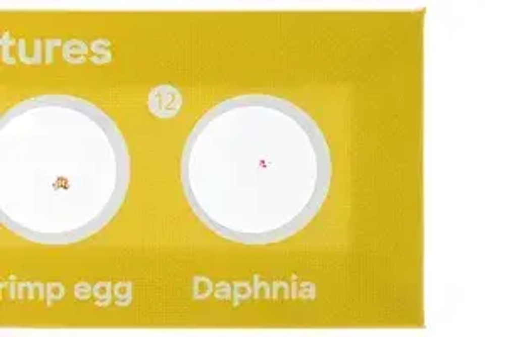 Набор микропрепаратов Levenhuk Discovery «Флора и фауна», 24 шт.