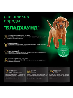 Корм сухой для щенков породы Бладхаунд, премиум полнорационный комплекс, с ягненком, 12 кг, QUATTRO