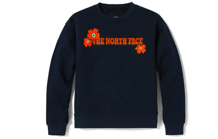 Толстовки THE NORTH FACE Vanlife Logo, NF0A5JWA-RG1